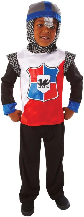 Boys Knight of the Realm Medieval Tudor Historical Book Fancy Dress Costume