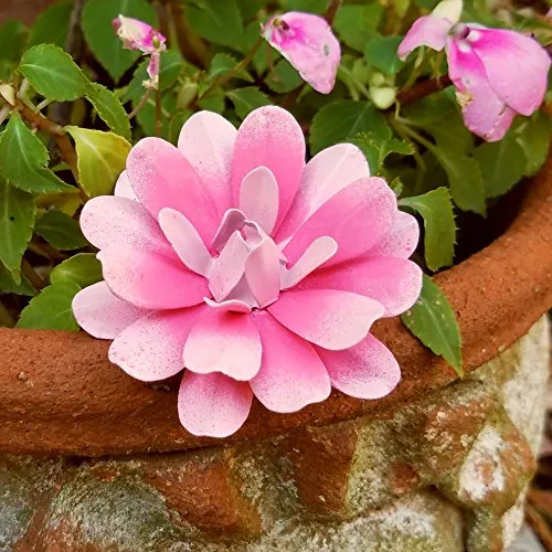 Pink Flower Pin Water Lily