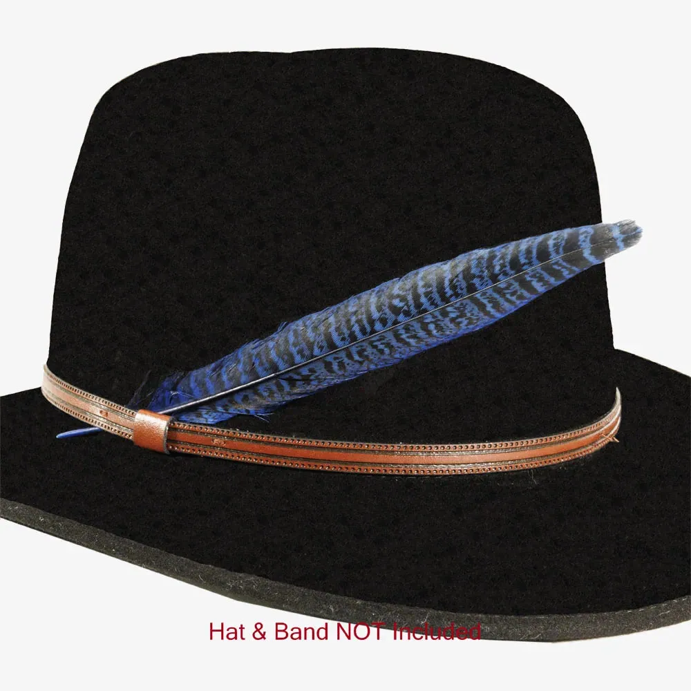 Ringneck | Vivid Hat Feather