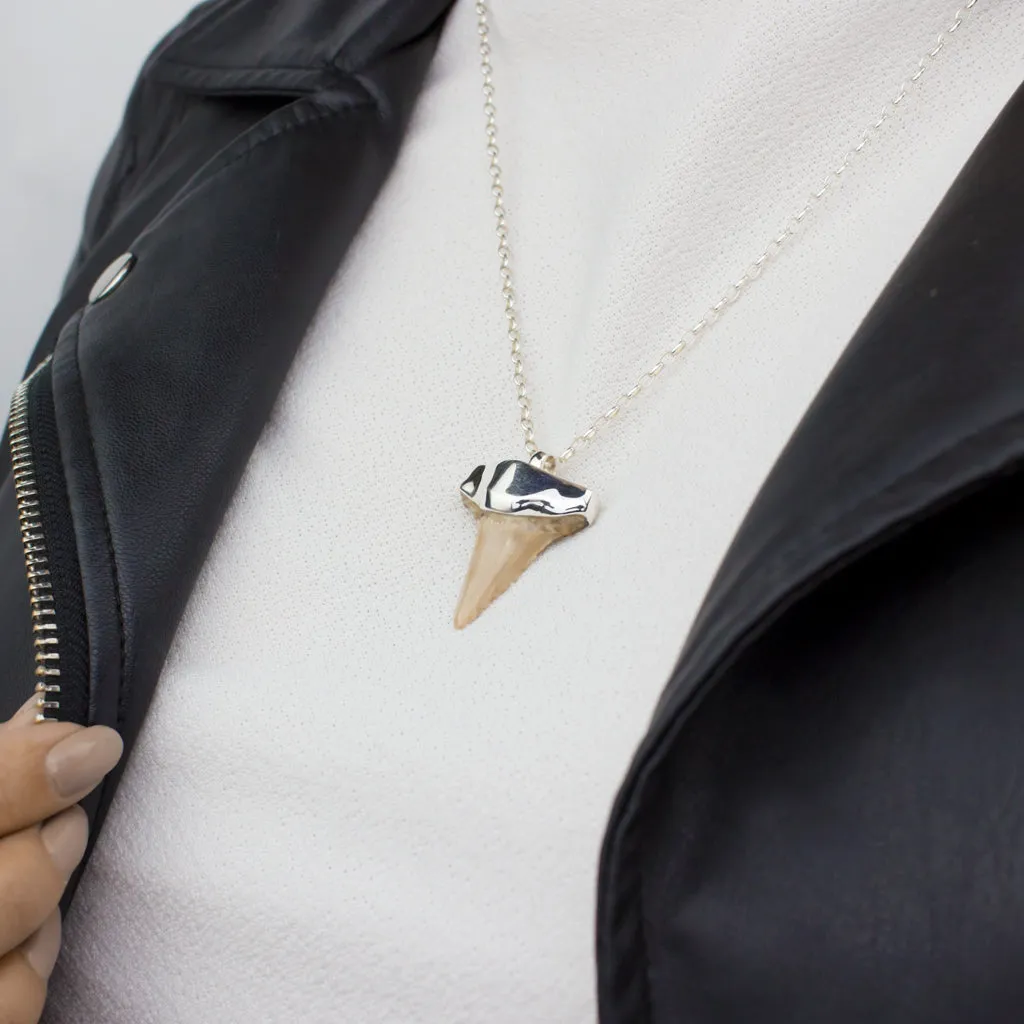 Shark's Tooth Fossil Necklace