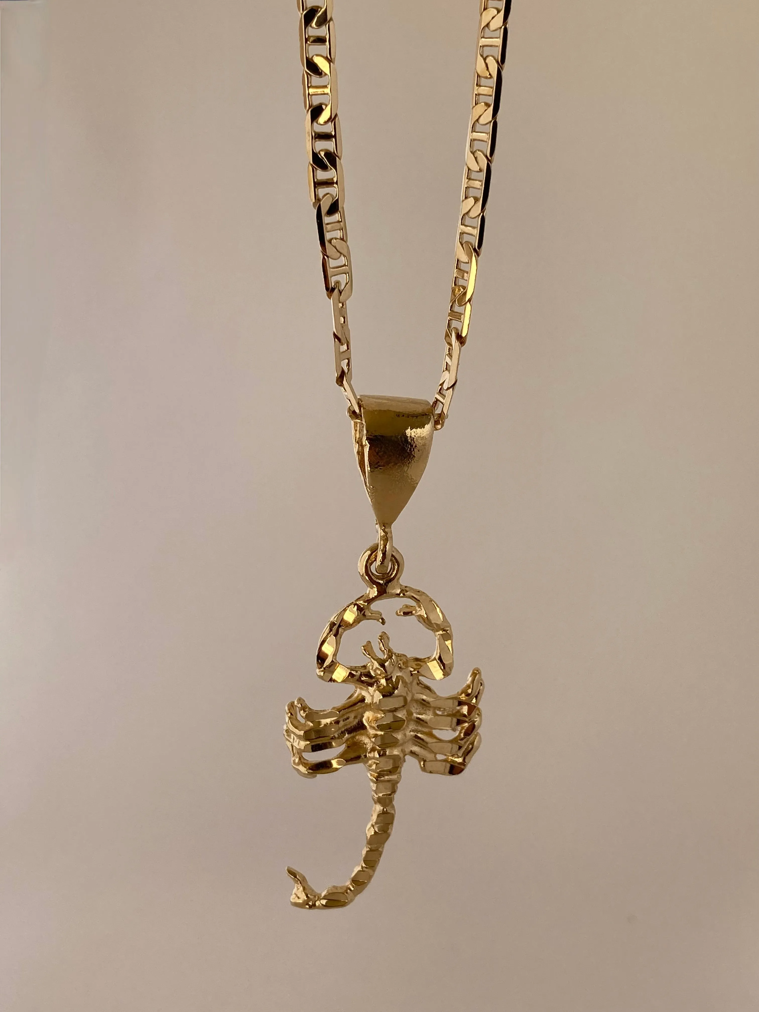 The Scorpion Necklace